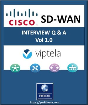 Cisco SD WAN Viptela