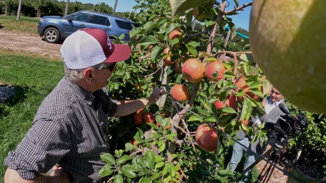 pkg-wx-apples-pumpkins-frame-1380.jpg 