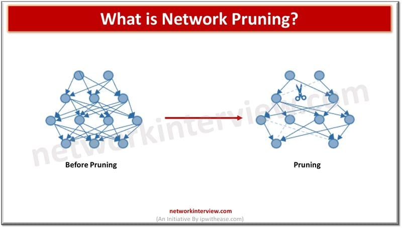 What is Network Pruning