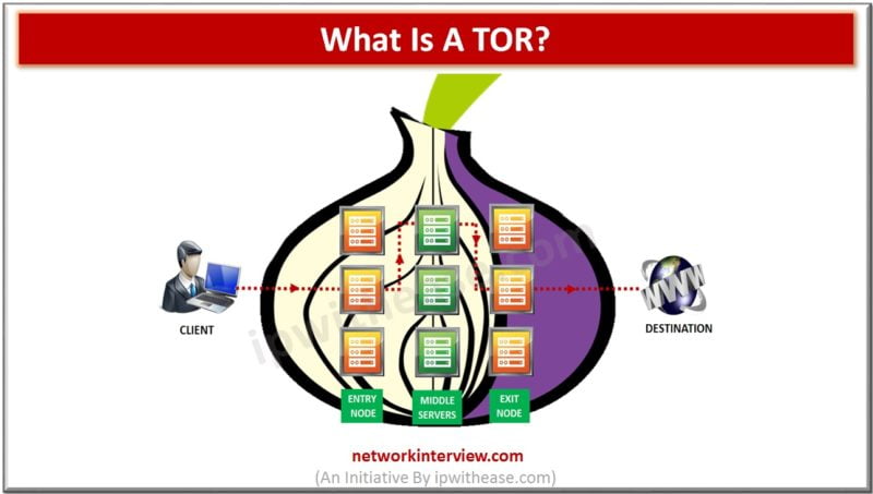 what is a tor