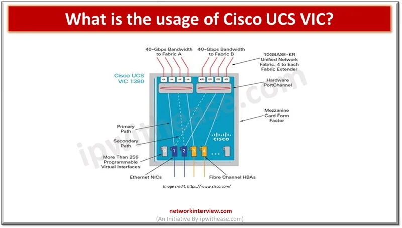 What is the usage of Cisco UCS VIC